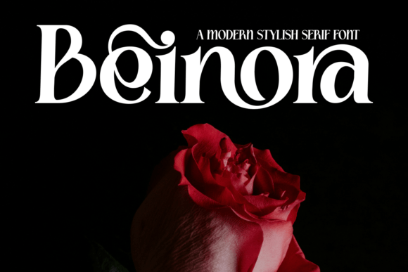 Beinora: A Serif Font That Elevates Digital Branding