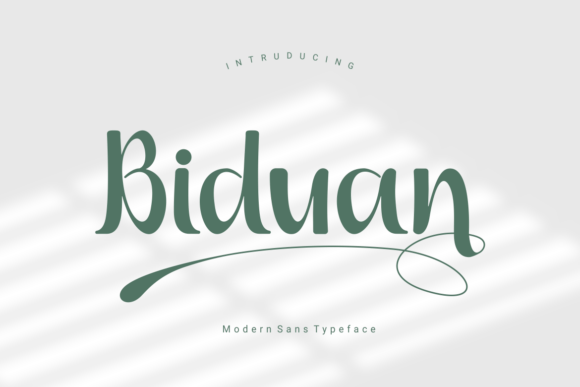 Biduan: A Modern Sans Serif for Digital Branding